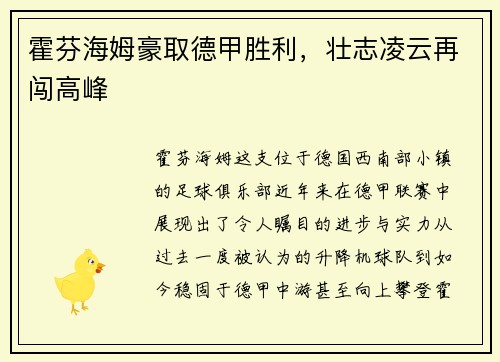 霍芬海姆豪取德甲胜利，壮志凌云再闯高峰